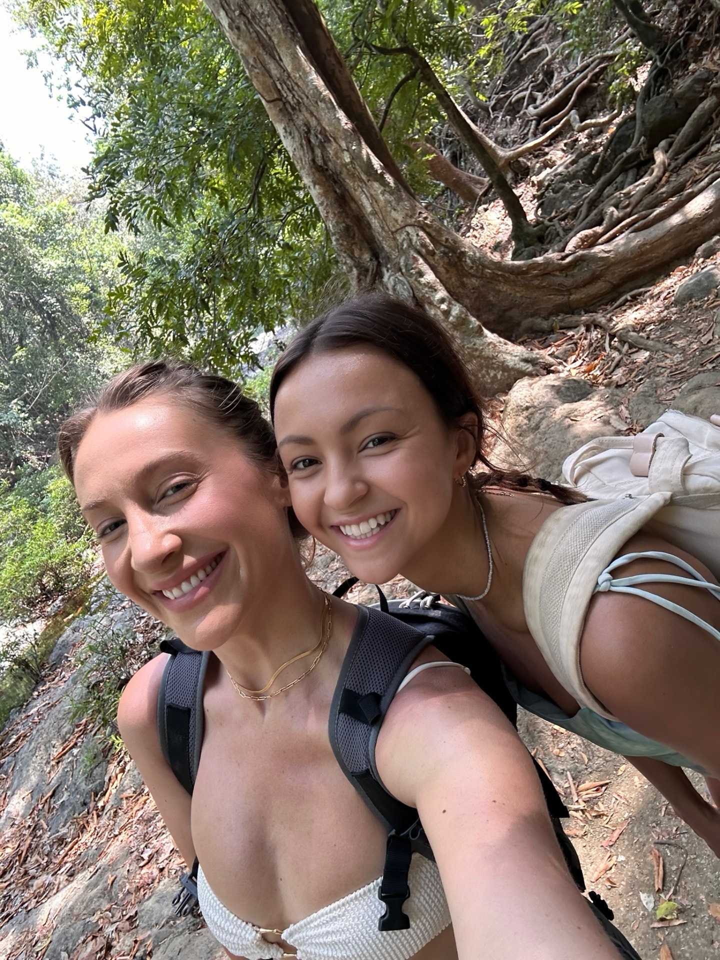 Friends on a jungle hike together